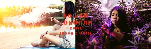 ГАЛЛЮЦИНОГЕННЫЕ ГРИБЫ Баксан